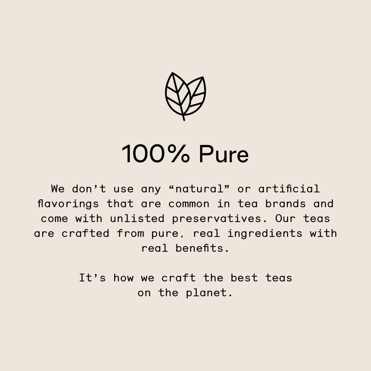 All Matcha - 4 Pack | Ember Coffee & Tea