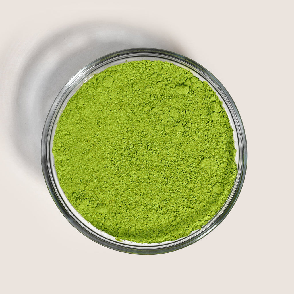 All Matcha - 2 Pack | Ember Coffee & Tea